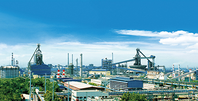 Main Customer-Wuhan Iron and Steel Group